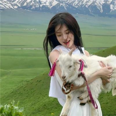 《天机密令》封面